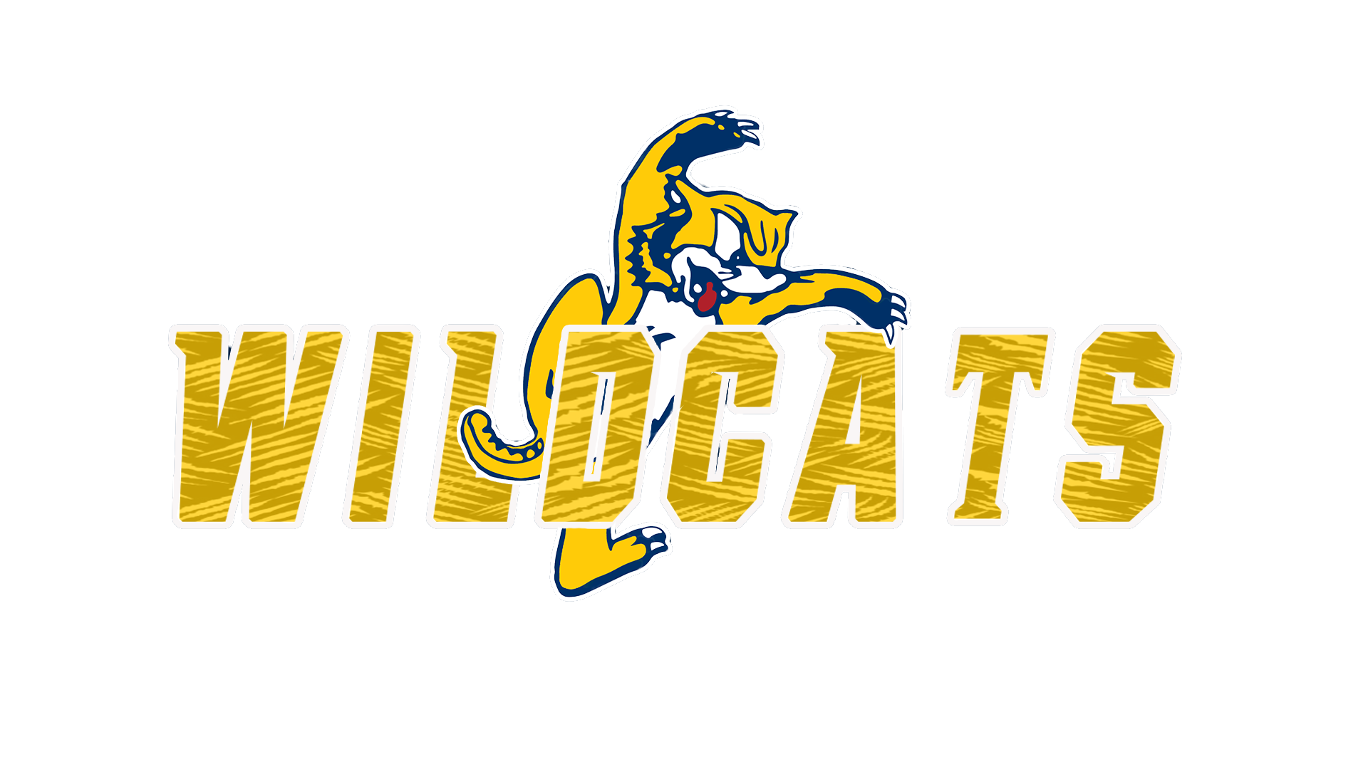 wildcat word and mascot yellow logo